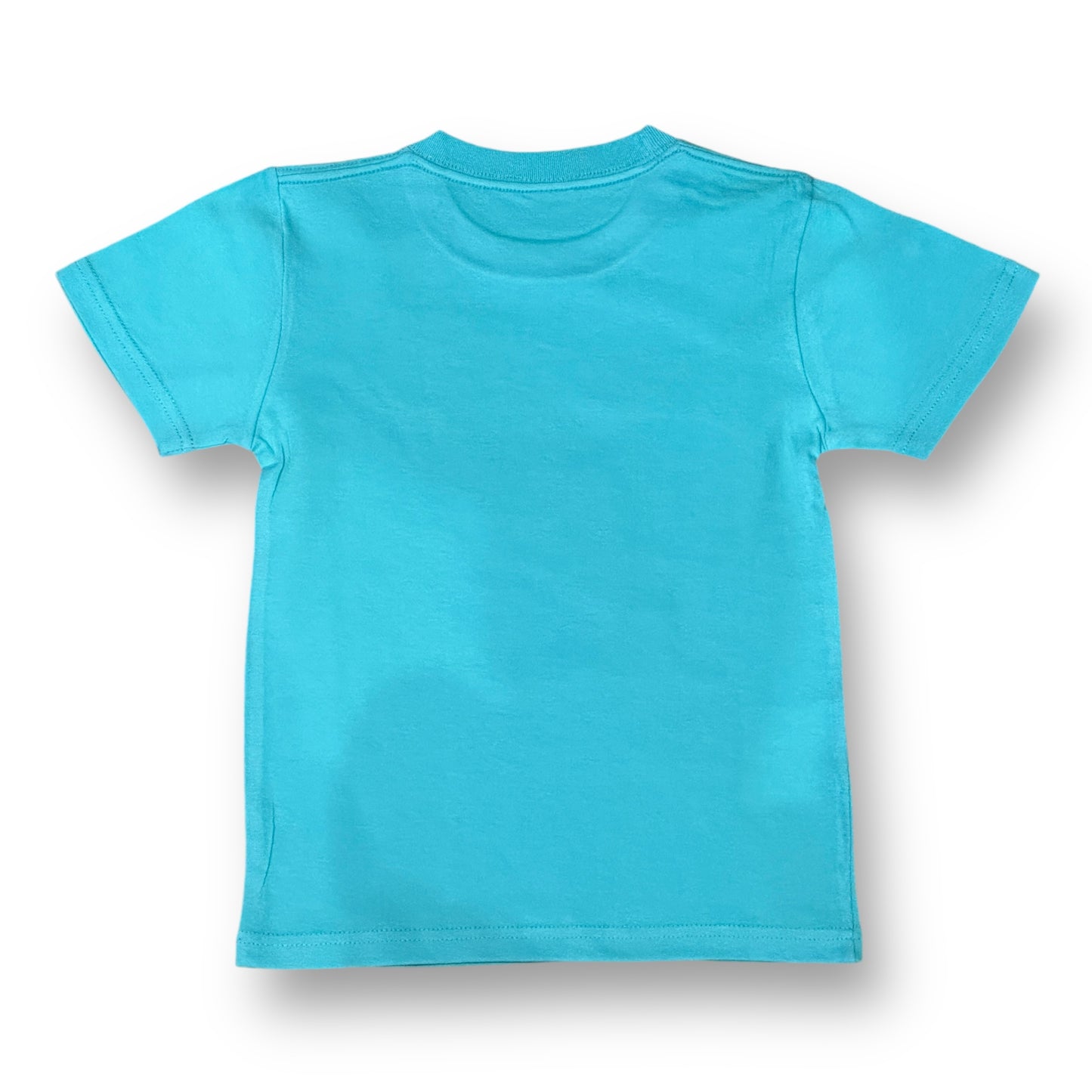 SPEED KILLS TEE KIDS MINT GREEN キッズ/ミントグリーン 120 (納期要確認)
