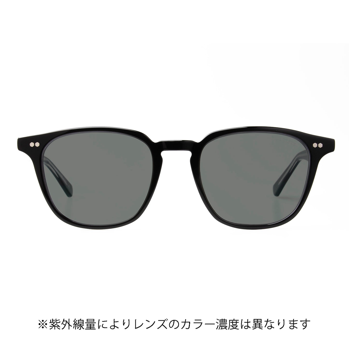 FLY SILAS BLACK/GREY 調光レンズ