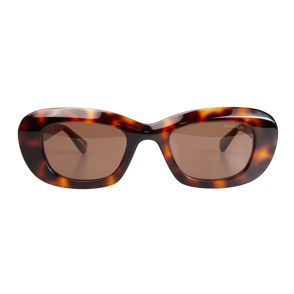 FLY CAVALIER HAVANA/BROWN