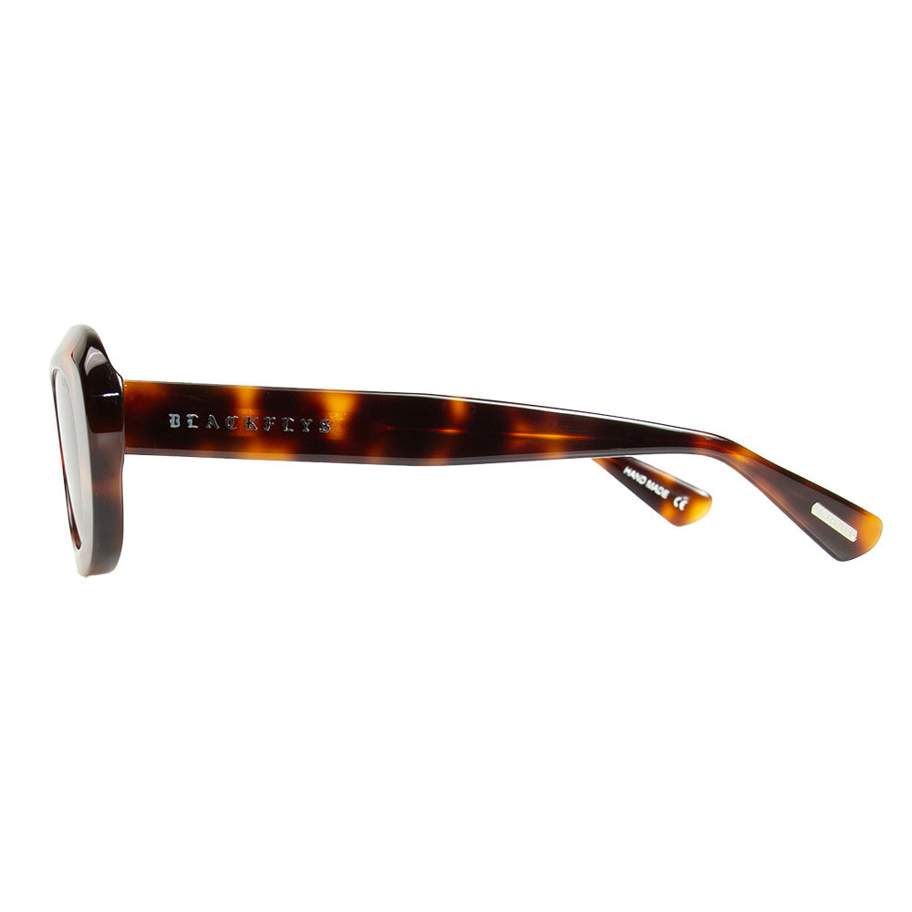FLY CAVALIER HAVANA/BROWN